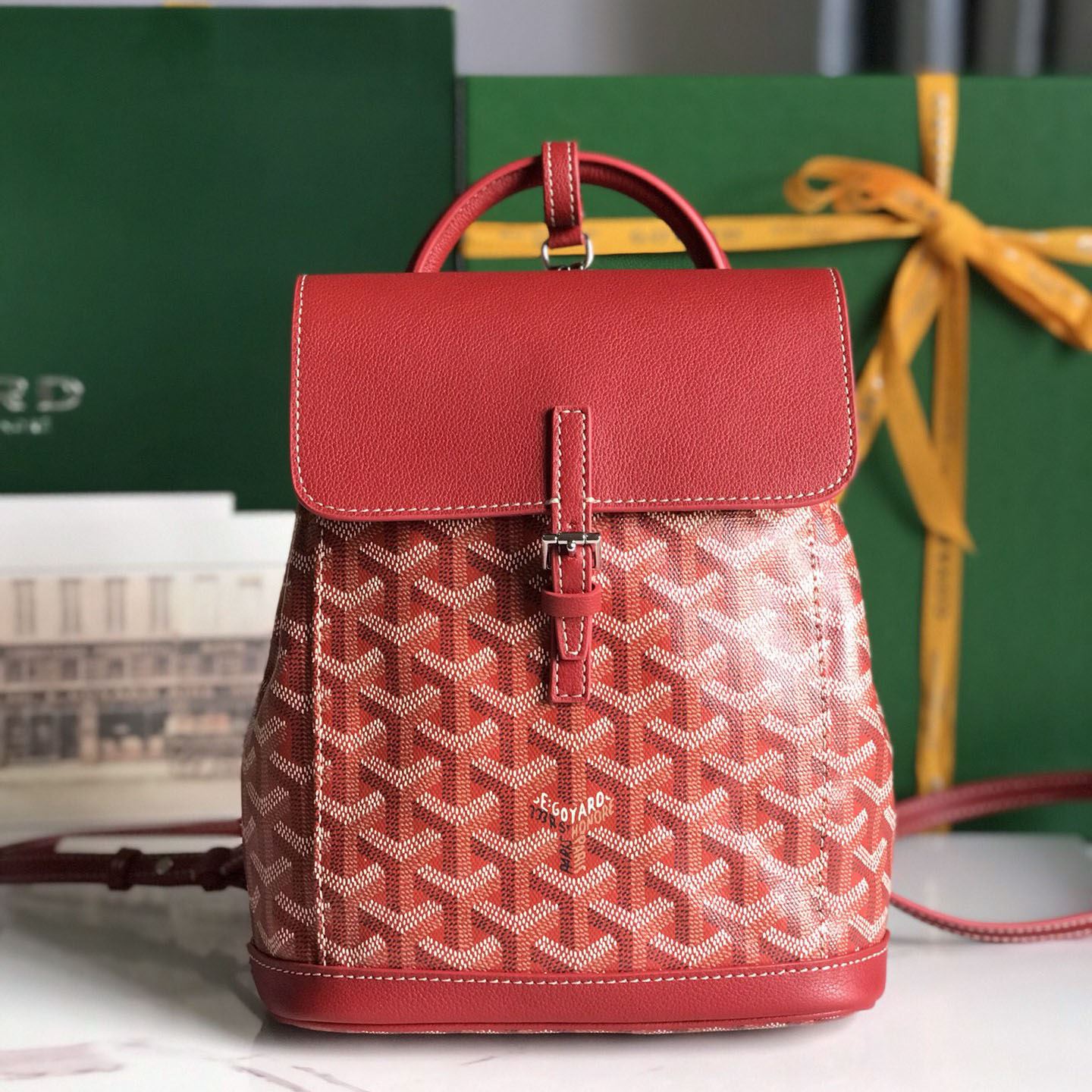 Go*ard backpacks